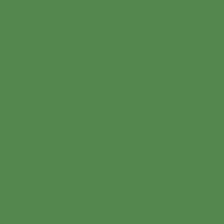 Centennial Solids Fern C835901-Fern