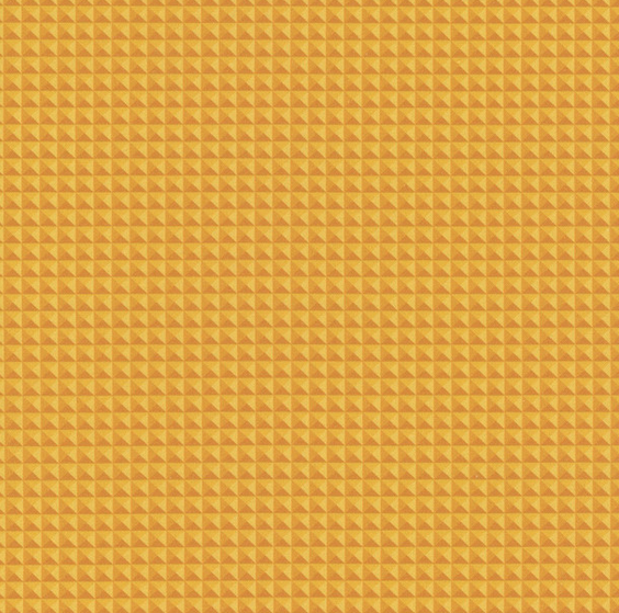 Chicken Scratch Carrot Fabric - Charisma Horton of Timeless Treasures