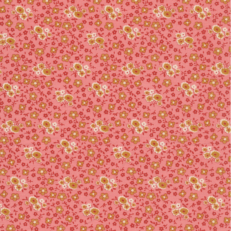 Autumn by Lori Holt C14656 Coral
