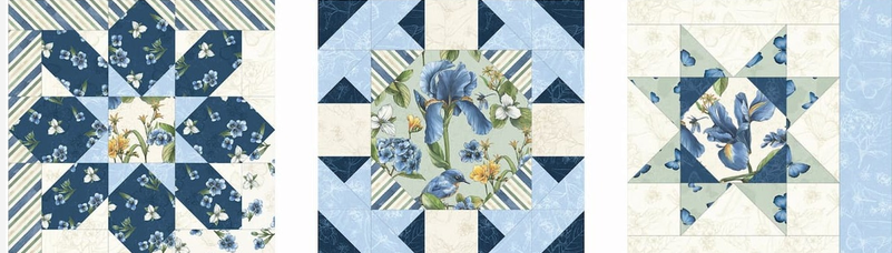 Among The Irises Block - Registration Starting At