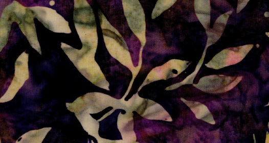 Tonga Batiks Chateau Sonoma B3923
