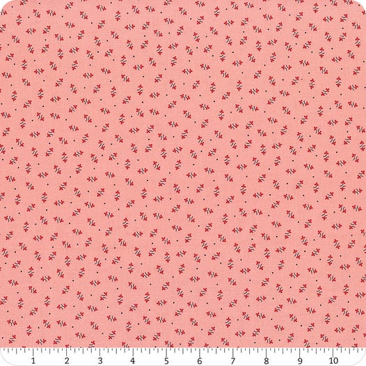 Autumn by Lori Holt C14655 Coral