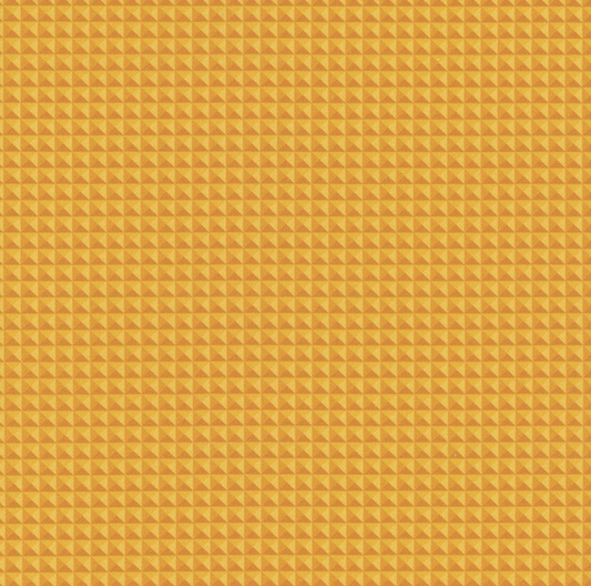 Chicken Scratch Carrot Fabric - Charisma Horton of Timeless Treasures