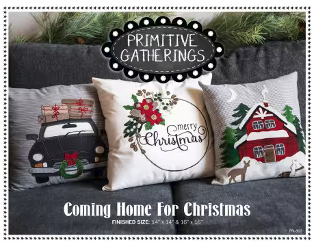 Coming Home For Christmas