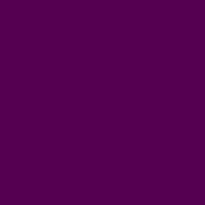 Centennial Solids Boysenberry C835901-Boysenberry