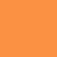Centennial Solids Orange C835901-Orange